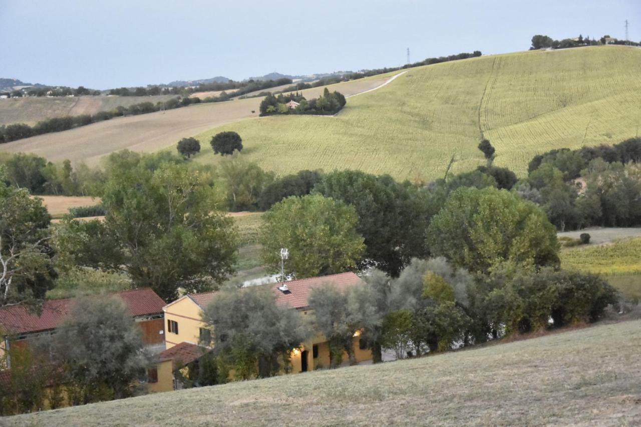 Agriturismo Fattoria Del Colle Iesi Exterior foto