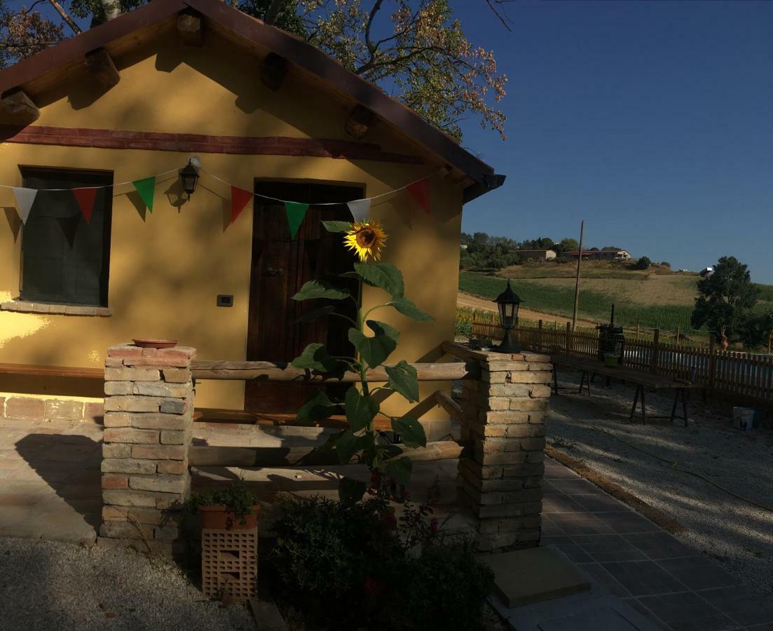 Agriturismo Fattoria Del Colle Iesi Exterior foto
