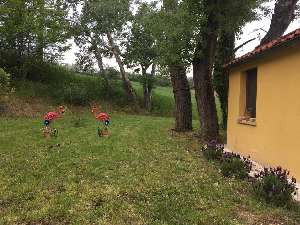 Agriturismo Fattoria Del Colle Iesi Exterior foto