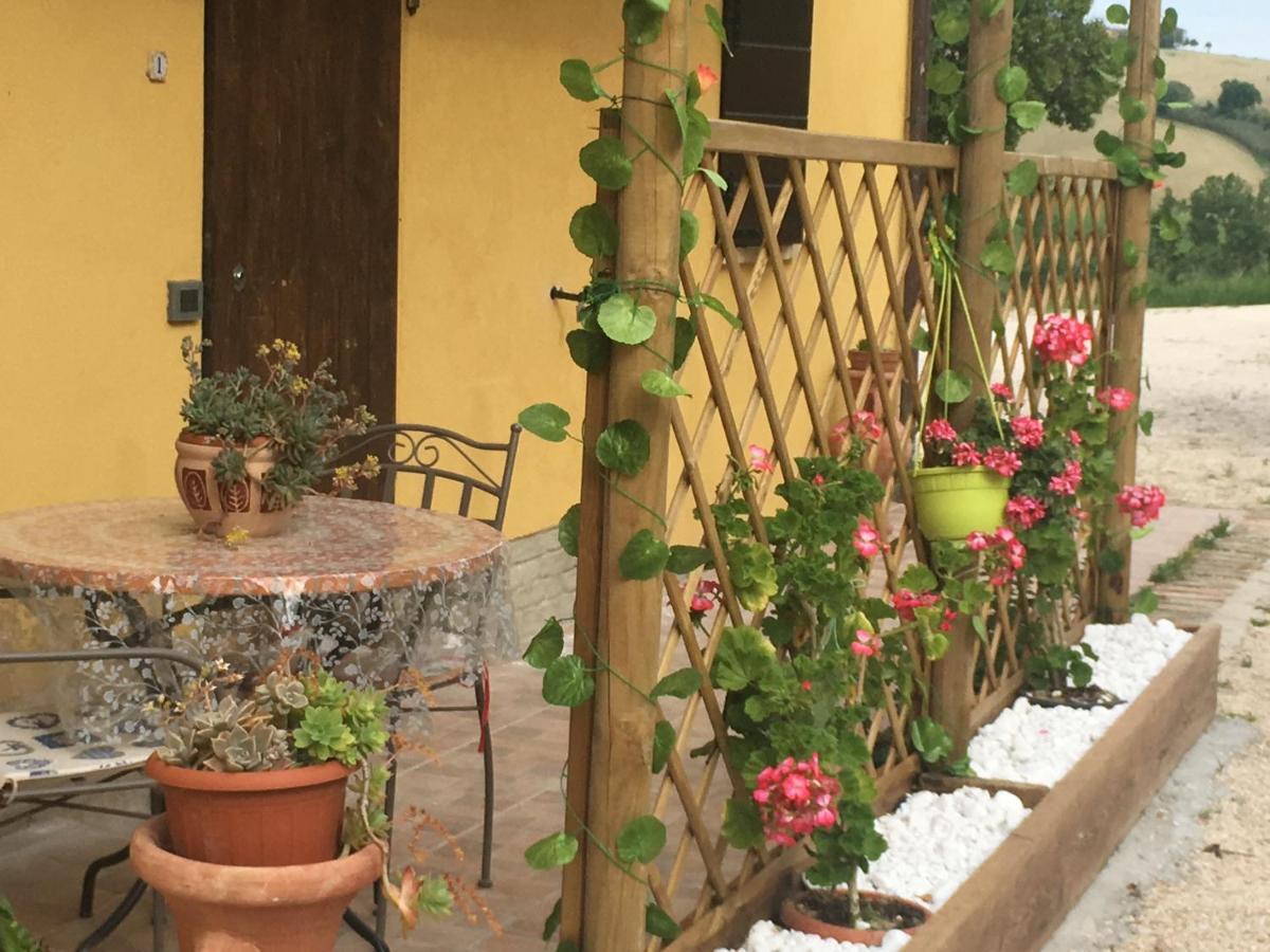 Agriturismo Fattoria Del Colle Iesi Exterior foto