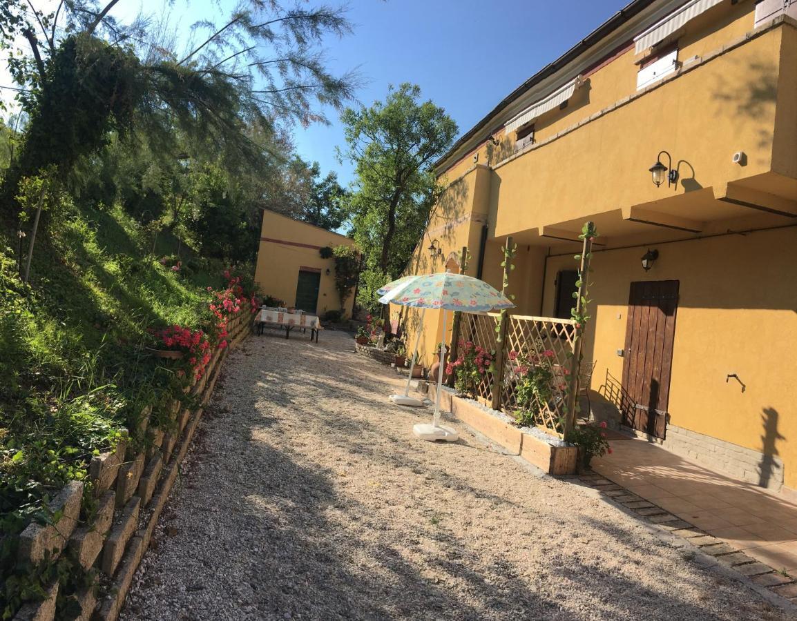 Agriturismo Fattoria Del Colle Iesi Exterior foto